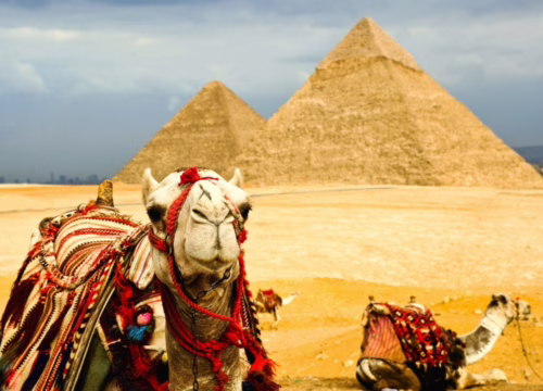 Health and Vaccines for Egypt Travel — What to Know Before You Go